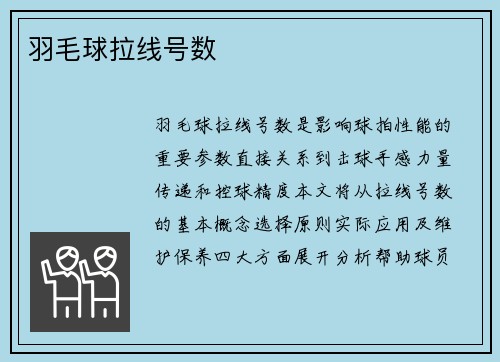 羽毛球拉线号数