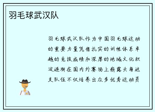 羽毛球武汉队